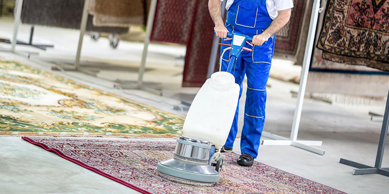 Üçkuyular Halı Yıkama